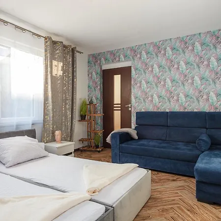 Plac Uniwersytecki 15B Вроцлав Номер фото